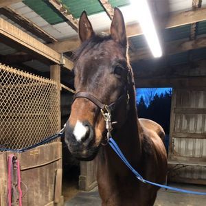 Meet your Posher, Andrea